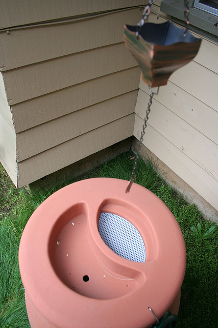 L.A. Garden Tour - Rain barrel (6659)