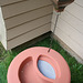 L.A. Garden Tour - Rain barrel (6659)