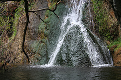 Darwin Falls (5099)