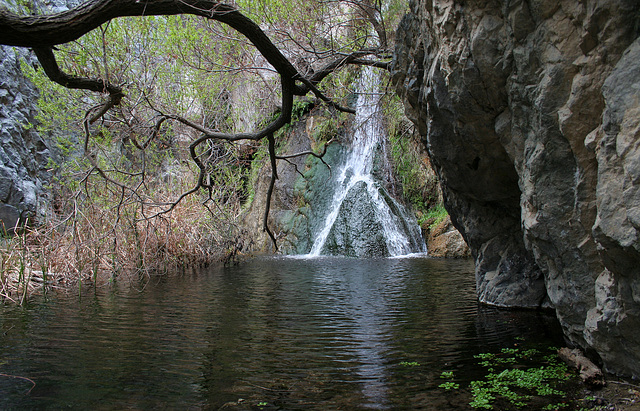 Darwin Falls (5101)