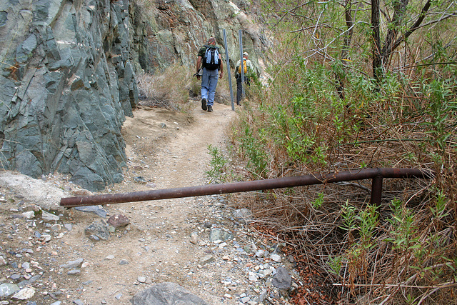 Hike To Darwin Falls (5091)