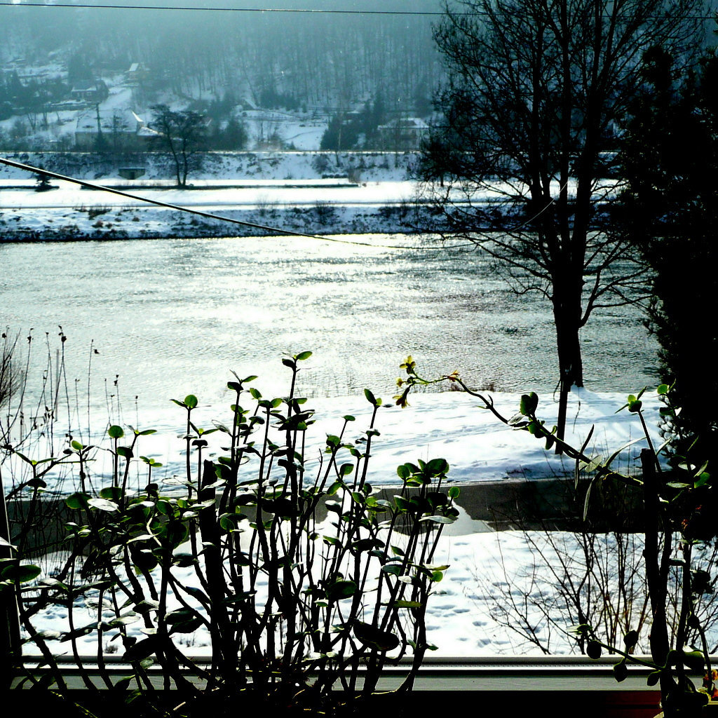 Blick auf die Elbe - rigardo sur la rivero Elbe - vue sur la Elbe