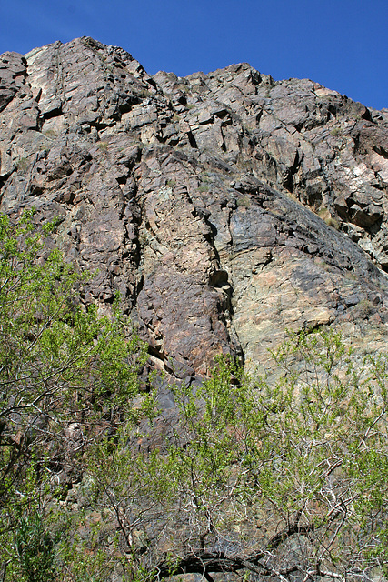 Hike To Darwin Falls (5109)