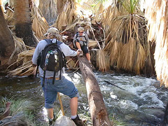 Crossing Murray Creek (5334)