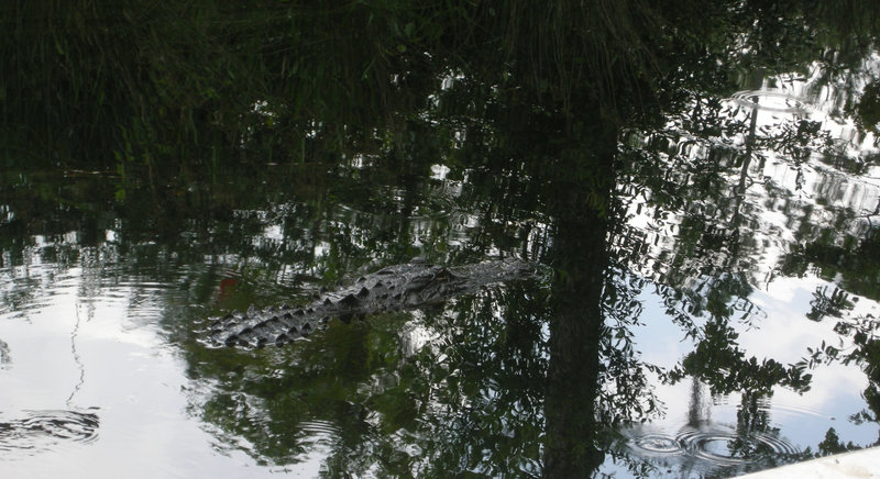 Paddler zwischen den Booten