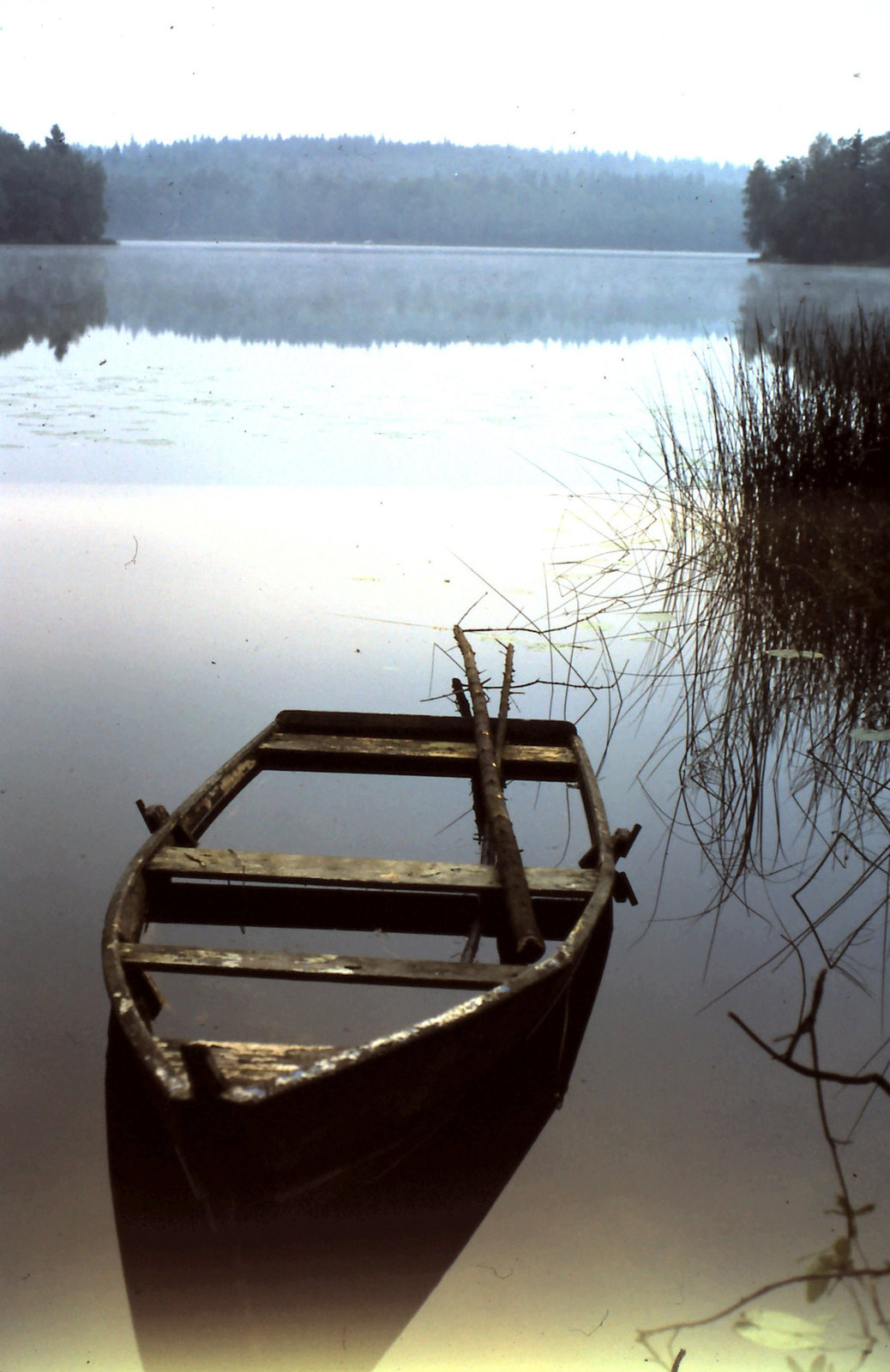 Vårfylld..