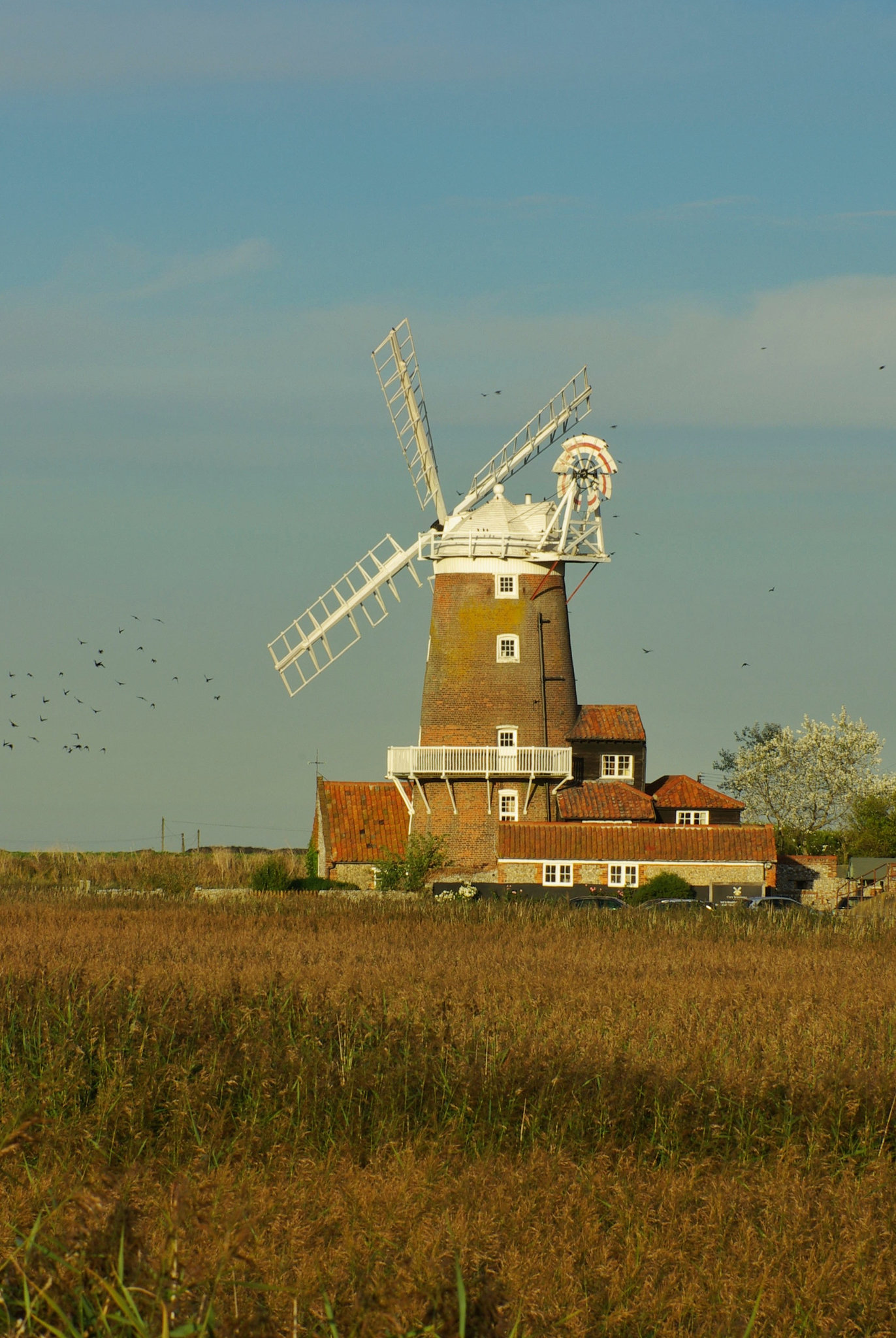 The Windmill at Cley-Next-The-Sea #3