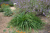 L.A. Garden Tour (6643)