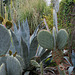 L.A. Garden Tour (6656)