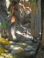 Murray Creek (5332)