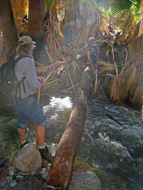 One Way To Cross Murray Creek (5333)