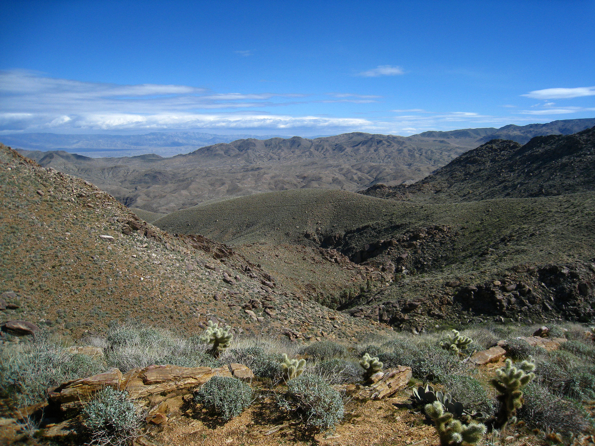 Westfork Trail Vista (5316)