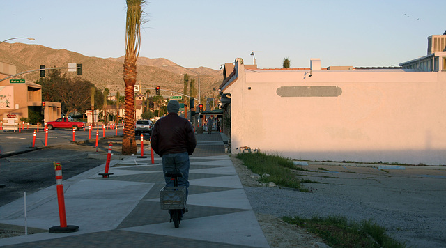 Electric Scooter on Pierson Boulevard (4092)