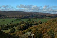 Broomhead Moor over Rocher Wood