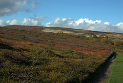 Pike Low (Midhope Moors) from Ewden
