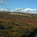 Pike Low (Midhope Moors) from Ewden