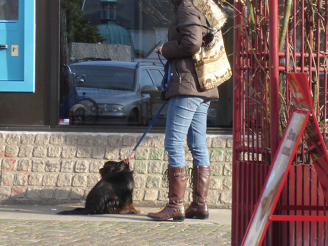 Handlesbanken booted swedish Lady with her dog /  La Dame bottée Handlesbanken avec son petit chien mignon -  Ängelholm / Suède - Sweden.   - 23-10-2008