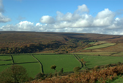 West from Rocher Wood