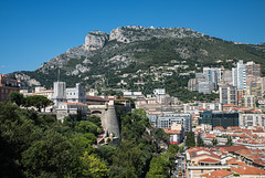 MONACO: Le Palais, la tête de chien.