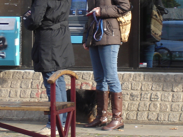 Handlesbanken booted swedish Lady with her dog /  La Dame bottée Handlesbanken avec son petit chien mignon -  Ängelholm / Suède - Sweden.   - 23-10-2008