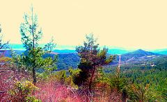 Vista desde Leyre (Navarra)