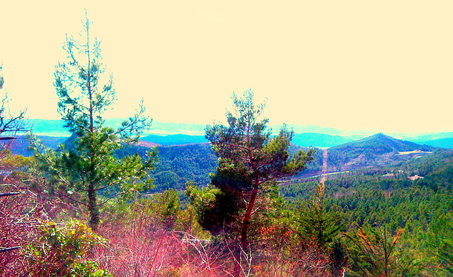 Vista desde Leyre (Navarra)