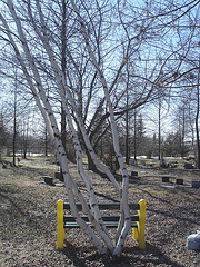 Cimetière pour animaux / Pet cemetery  - Mon Repos