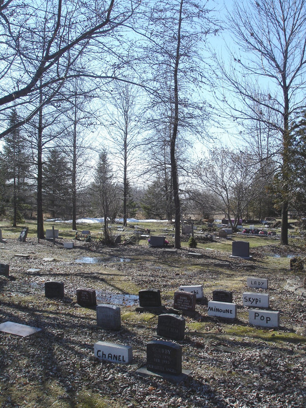 Cimetière pour animaux  /  Pet cemetery  - Mon Repos /   Dans ma région - in my area.  Québec, Canada /    16 mars 2010 - Photo originale / Original picture