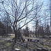 Cimetière pour animaux  /  Pet cemetery  - Mon Repos /   Dans ma région - in my area.  Québec, Canada /    16 mars 2010 - Photo originale / Original picture