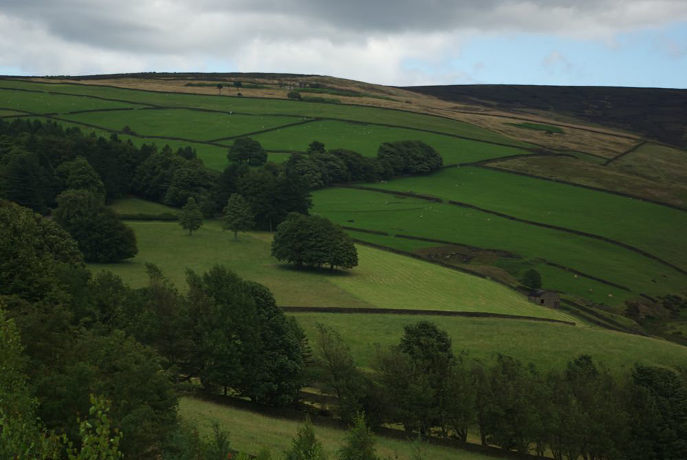 Moorfield Glossop