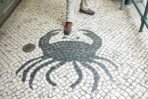 Crab