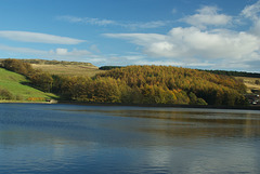 Swineshaw Reservoir and Cock Hill