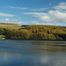 Swineshaw Reservoir and Cock Hill