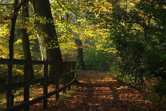 Manor Park - Dead end