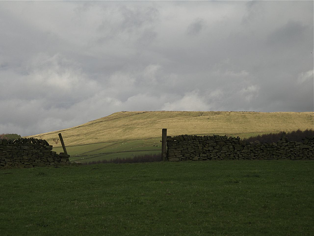 Peak Naze from Pyegrove Playing Fields