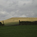 Peak Naze from Pyegrove Playing Fields