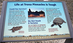 Trona Pinnacles Info (4270)