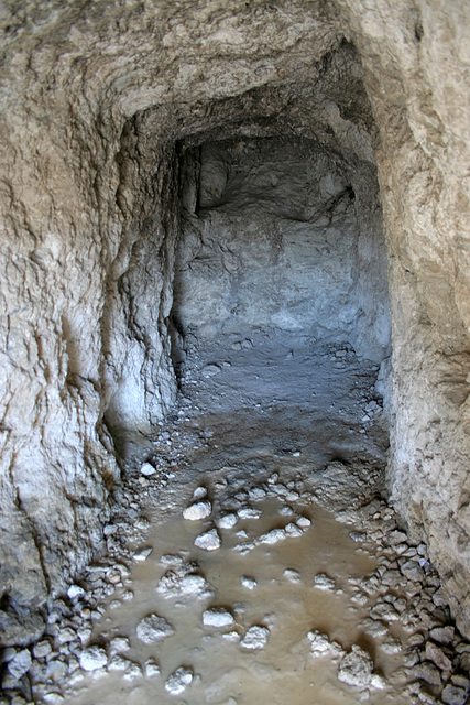 Trona Pinnacles (4277)