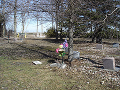 Cimetière pour animaux  /  Pet cemetery  - Mon Repos /   Dans ma région - in my area.  Québec, Canada /    16 mars 2010 - Photo originale / Original picture