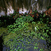 Miller Spring (5190)