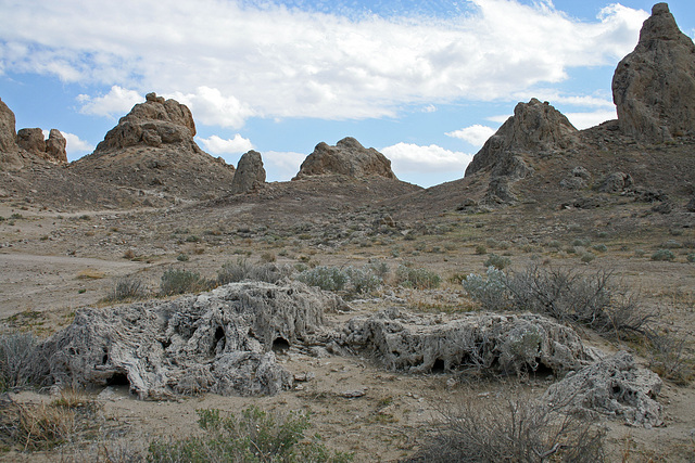 Trona Pinnacles (4294)