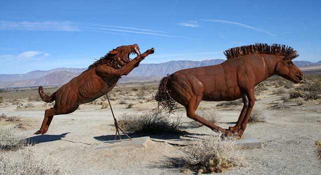 Galleta Meadows Estates Cat & Horse Sculpture (3635)