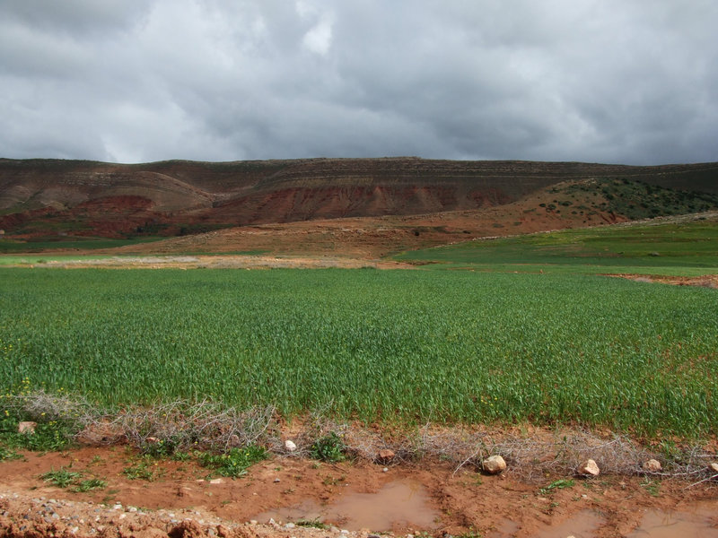 Maroc 116