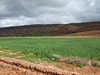 Maroc 117