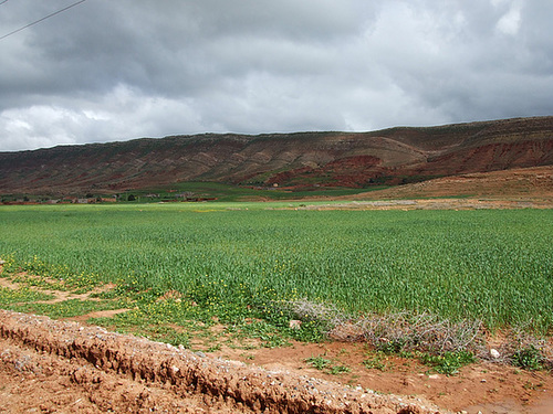Maroc 117