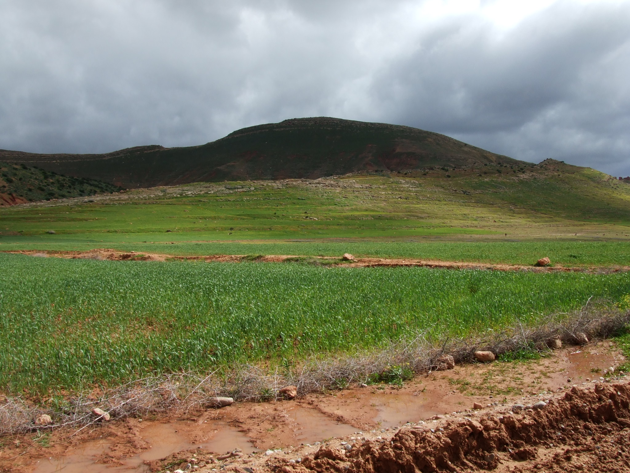Maroc 118