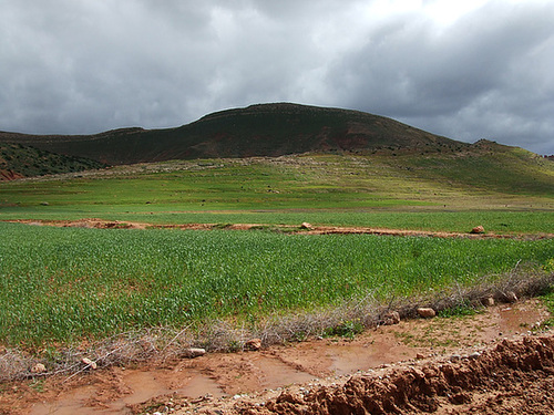 Maroc 118