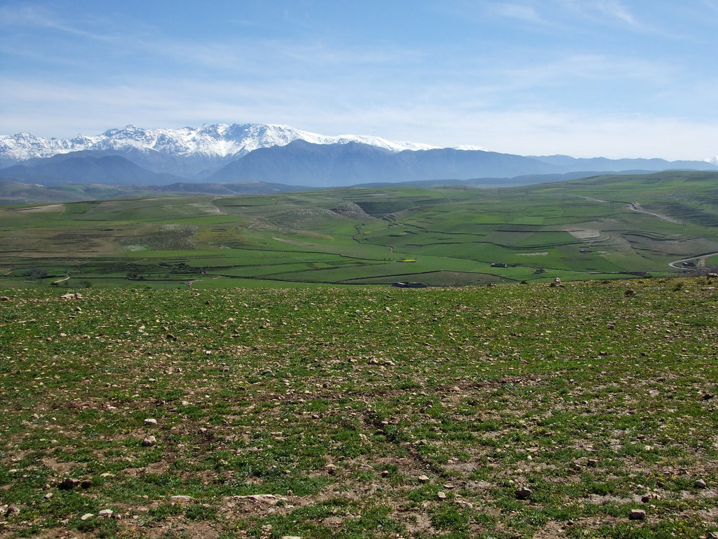 Maroc 131