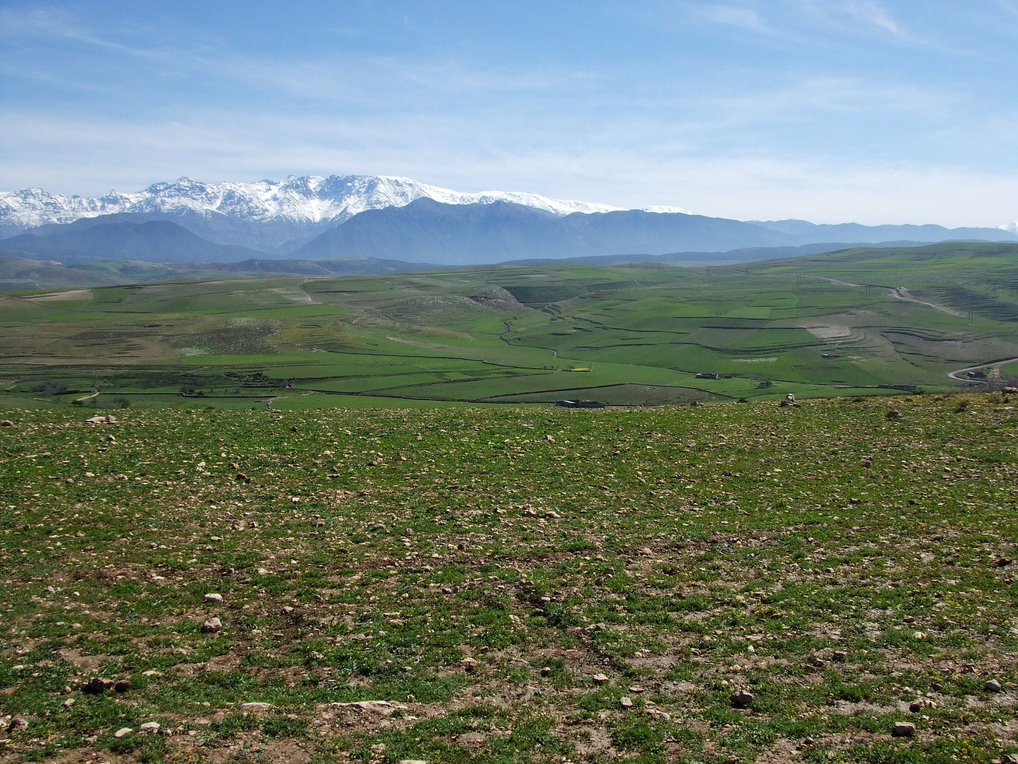 Maroc 131