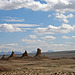 Trona Pinnacles (4300)